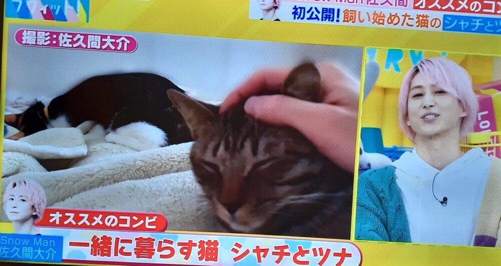 佐久間大介　星街すいせい　匂わせ