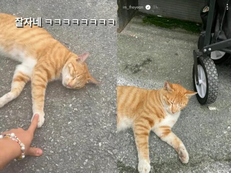 ホシ　歴代彼女